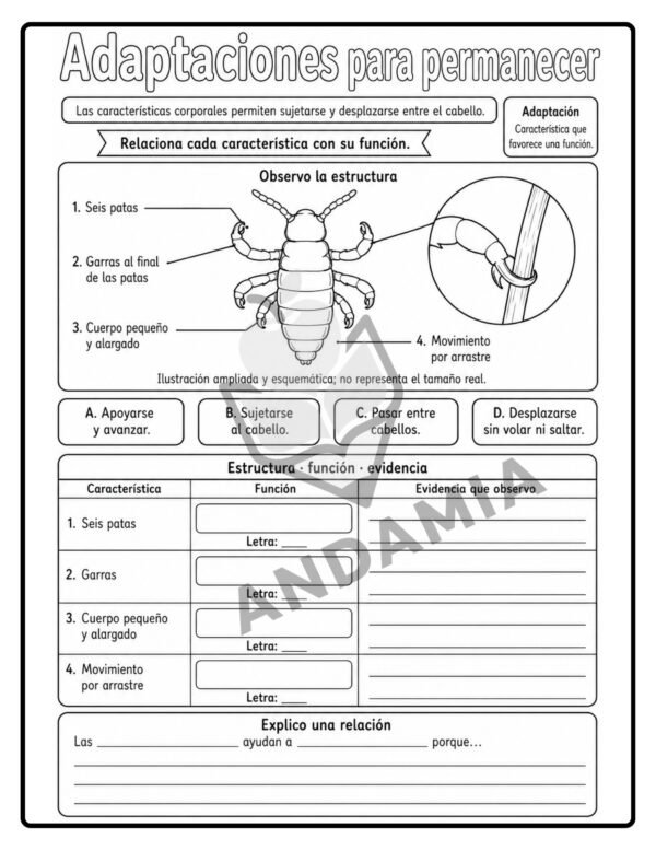 Nos cuidamos juntos: Pediculosis - 5to Grado