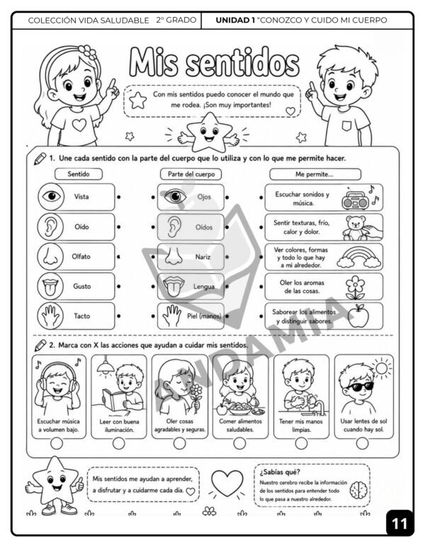 Vida Saludable - 2do Grado
