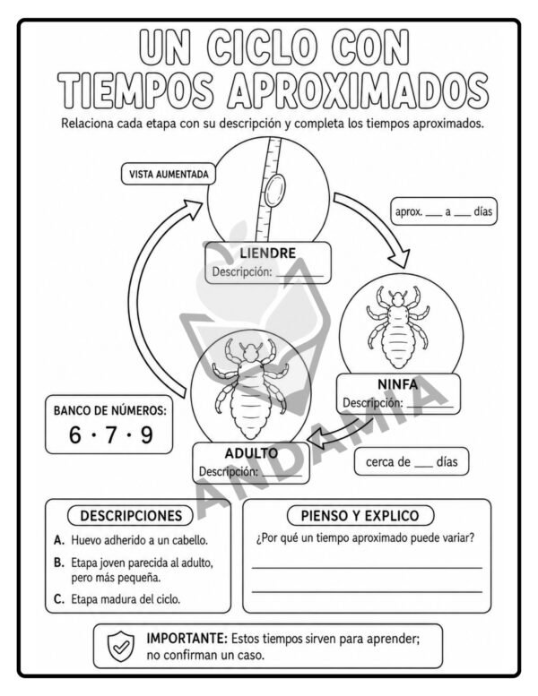 Nos cuidamos juntos: Pediculosis - 4to Grado