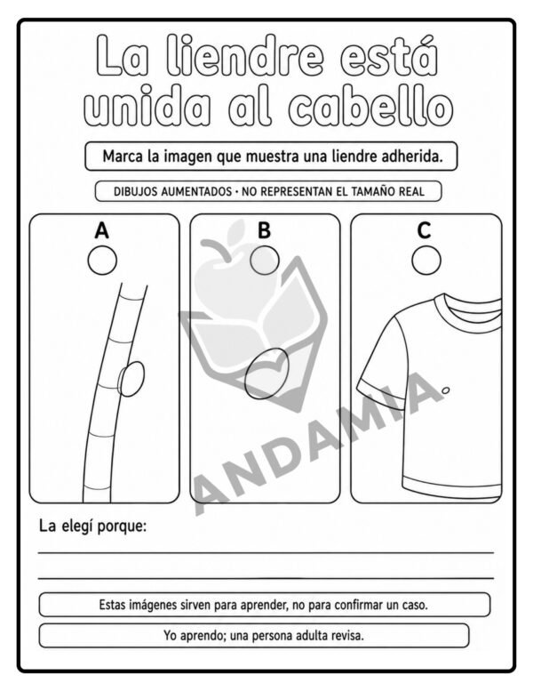 7 Nos cuidamos juntos: Pediculosis - 2do Grado