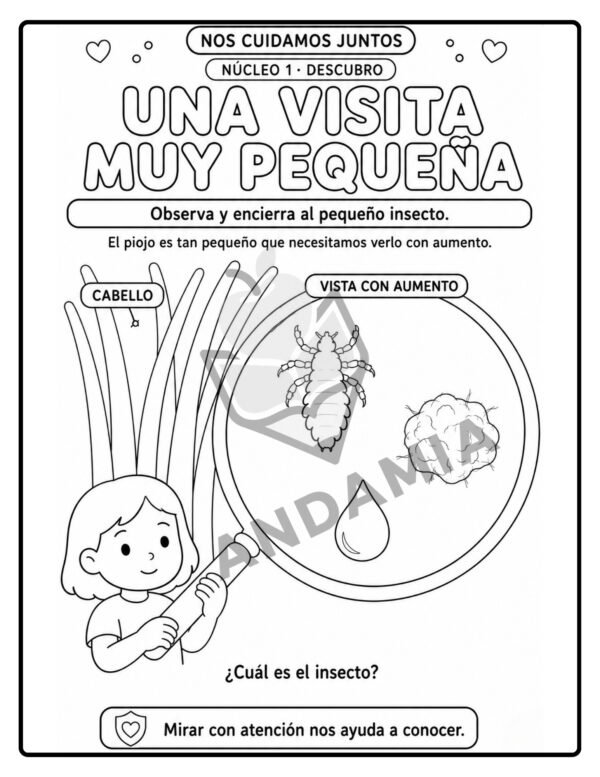 9 Nos cuidamos juntos: Pediculosis - 1er Grado